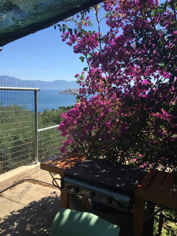 Villa Skorponeria, Pool & Sea Skroponeria Dış mekan fotoğraf
